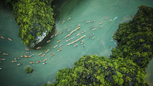 10 Điểm du lịch sinh thái hấp dẫn khách du lịch tại Việt Nam